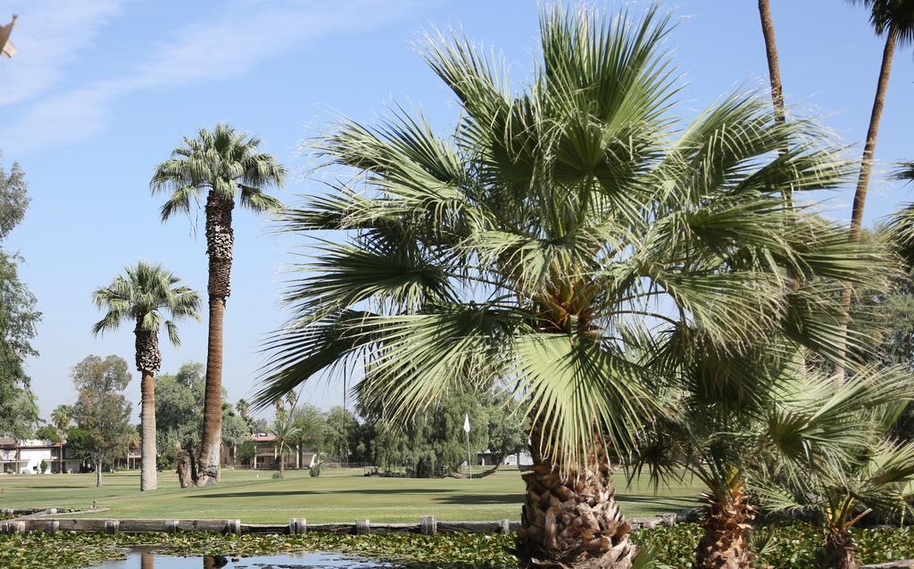 Barbara Worth Golf Resort Holtville 외부 사진